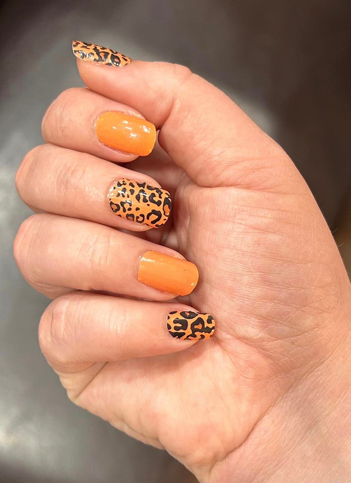 Fun & Fab Leopard in Orange